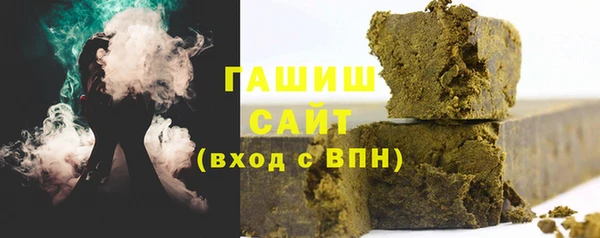 индика Нягань