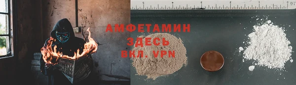индика Нягань