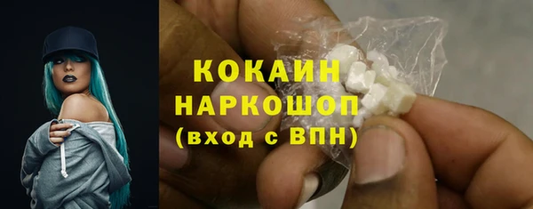 прущие грибы Нязепетровск