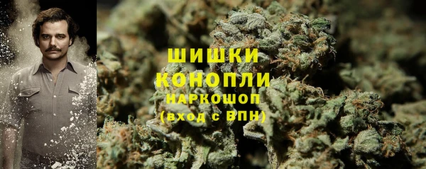 индика Нягань
