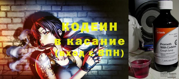 индика Нягань