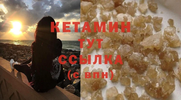 индика Нягань
