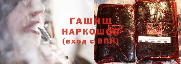 индика Нягань