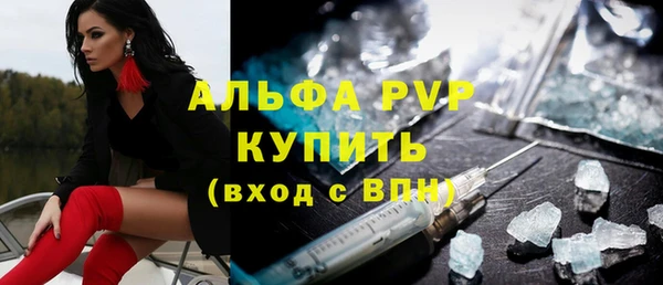 индика Нягань