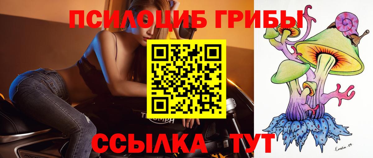 Уссурийск  Псилоцибиновые грибы мухоморы  Вход с VPN 