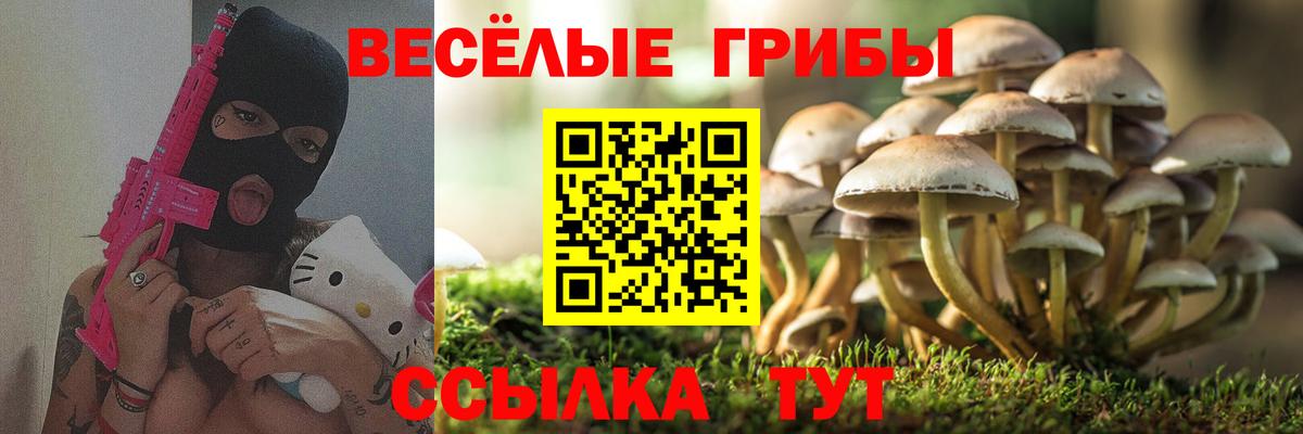 Псилоцибиновые грибы прущие грибы Уссурийск